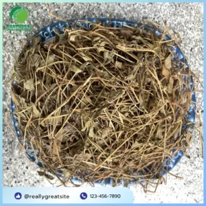 Sài Đất Khô Tấn Phát: Địa Chỉ Uy Tín Tại TP.HCM
