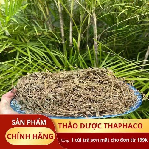 Cách dùng cây sài đất sấy khô chuẩn Noni Tấn Phát