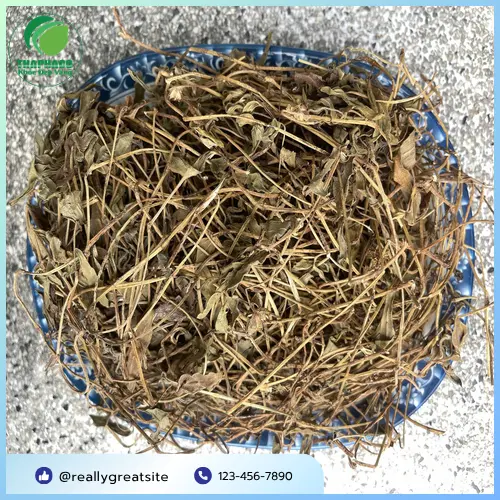 Sài đất khô được đóng gói cẩn thận, cho thấy sự chuyên nghiệp và sạch sẽ của sản phẩm