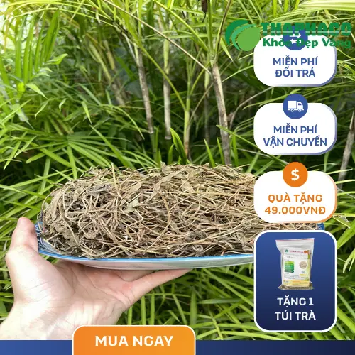Ưu đãi freeship khi mua sỉ sài đất sấy khô tại Noni Tấn Phát