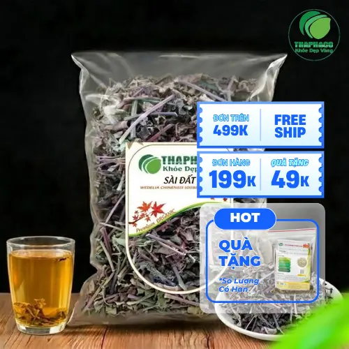 Sài đất khô chất lượng cao được đóng gói cẩn thận, có nhãn hiệu Noni Tấn Phát rõ ràng