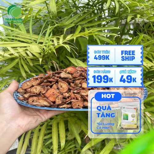 Táo mèo sấy khô chất lượng cao