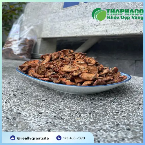 Pha trà táo mèo khô thơm ngon, bổ dưỡng