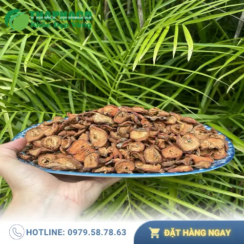 Pha trà táo mèo khô hỗ trợ giảm mỡ máu