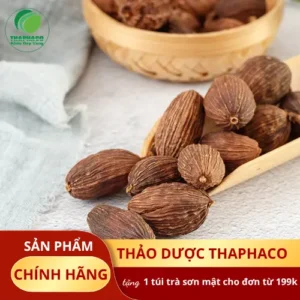 Chỗ Bán Thảo Quả Sấy Khô Tại TP.HCM - Noni Tấn Phát Uy Tín