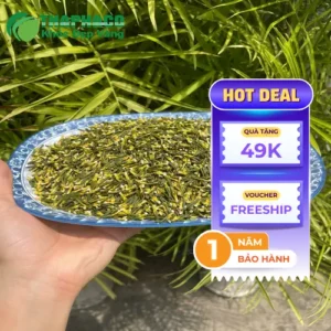Tim Sen Sấy Khô Noni Tấn Phát TP.HCM: Ngủ Ngon, Sống Khỏe