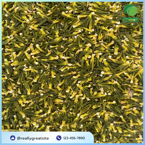 Tim sen Noni Tấn Phát – Giải pháp thiên nhiên cho giấc ngủ sâu