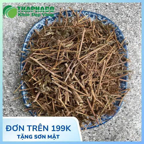 Chuyên gia dược liệu THAPHACO và hành trình chữa mất ngủ bằng cây xấu hổ