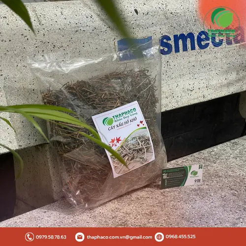 Nước sắc cây xấu hổ đã chế biến