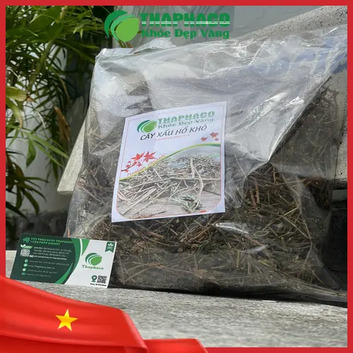 Quy trình sấy khô cây xấu hổ hiện đại tại Noni Tấn Phát