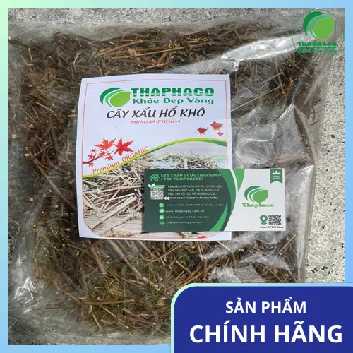 Cây xấu hổ khô hỗ trợ an thần và cải thiện giấc ngủ