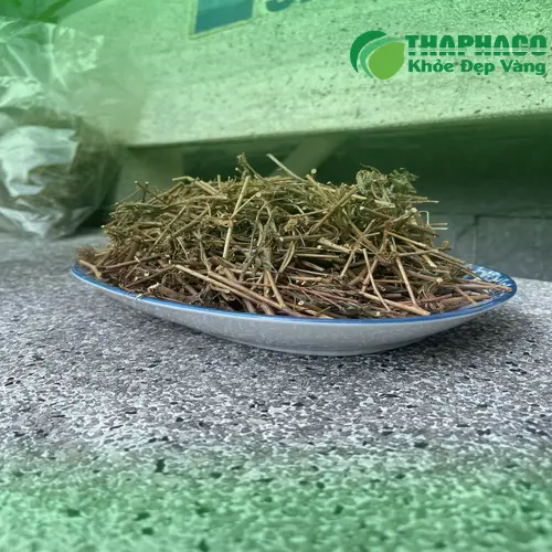 Thân và rễ cây xấu hổ khô được chế biến chuẩn tại Noni Tấn Phát