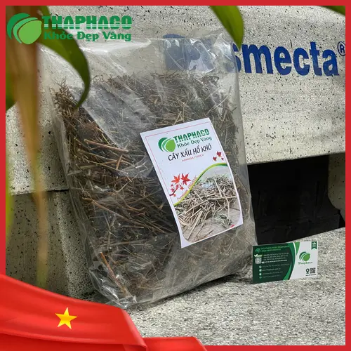 Trà cây xấu hổ khô đã được sơ chế sẵn sàng để pha
