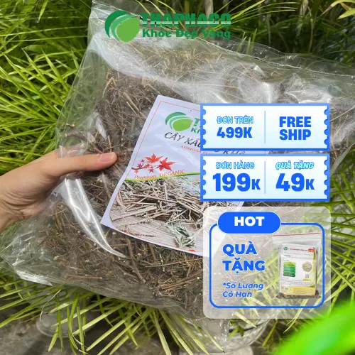 Bao bì sản phẩm Trà Cây Xấu Hổ của Noni Tấn Phát