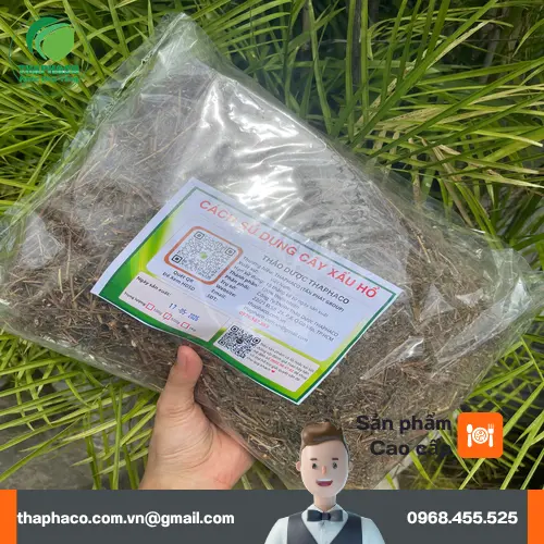 Đóng gói cây xấu hổ sấy khô chuyên nghiệp tại Noni Tấn Phát