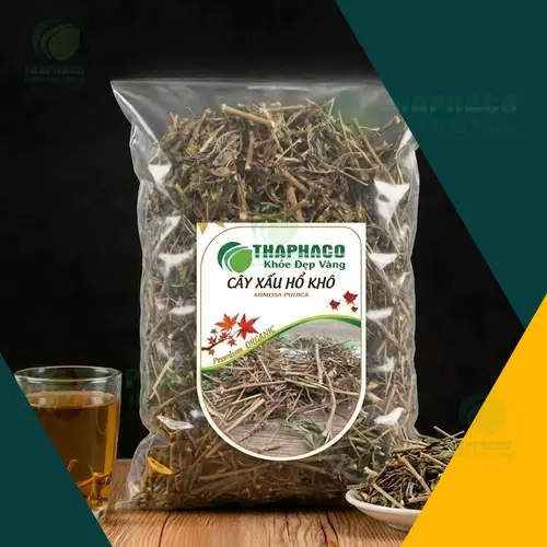 Noni Tấn Phát - Địa chỉ uy tín cung cấp cây xấu hổ khô