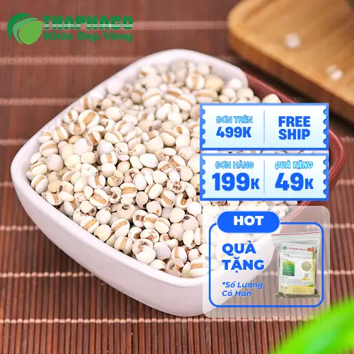 Hình ảnh hạt ý dĩ khô chất lượng cao của Noni Tấn Phát