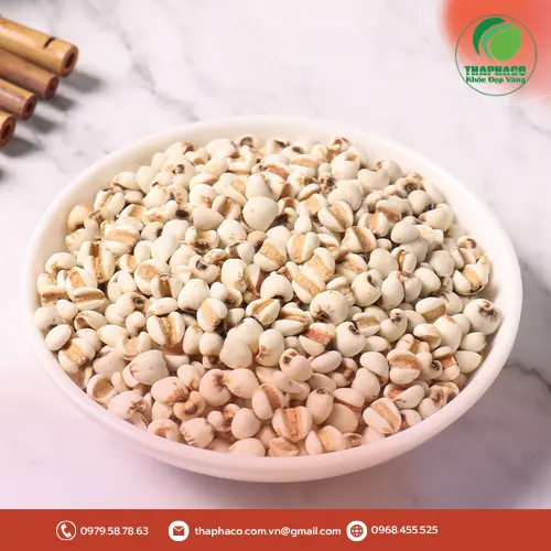 Hạt ý dĩ Noni Tấn Phát chất lượng cao, màu trắng ngà
