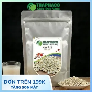 Ý Dĩ Chất Lượng: Nơi Mua Uy Tín Từ Noni Tấn Phát