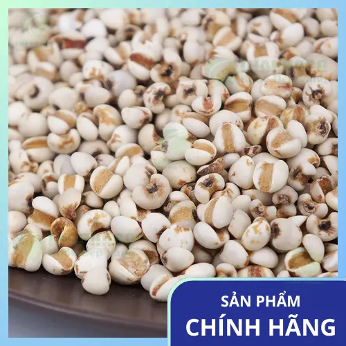 Ý dĩ khô Noni Tấn Phát đang được rửa sạch dưới vòi nước