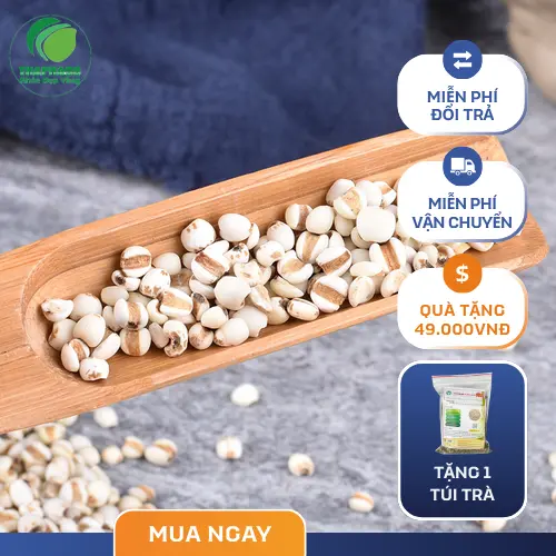Cận cảnh hạt ý dĩ Noni Tấn Phát tươi ngon, nguyên vẹn