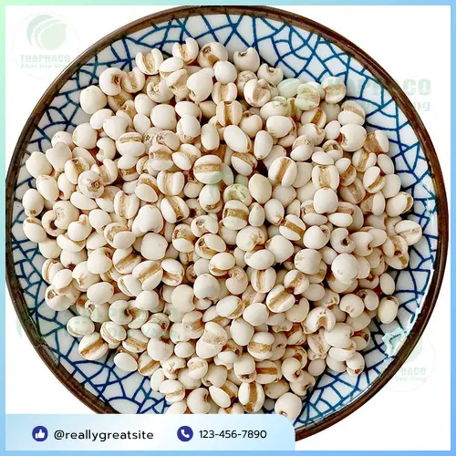 Chuyên gia Noni Tấn Phát tư vấn liều lượng ý dĩ phù hợp