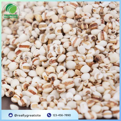 Quy trình đóng gói ý dĩ tại Noni Tấn Phát đảm bảo vệ sinh an toàn thực phẩm