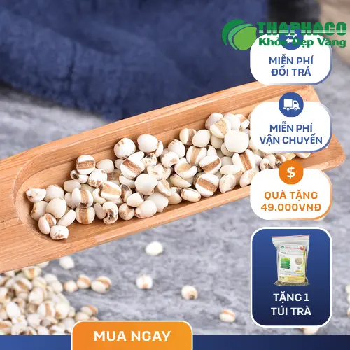 Cận cảnh hạt ý dĩ Noni Tấn Phát đã được làm sạch, sẵn sàng chế biến