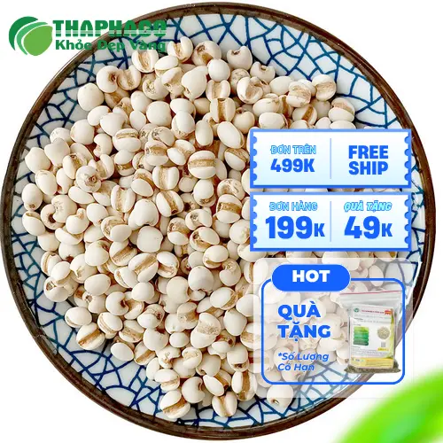 Ý dĩ Noni Tấn Phát đảm bảo sạch, an toàn cho sức khỏe