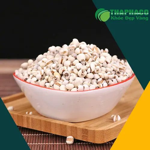 Hạt ý dĩ Noni Tấn Phát dùng để nấu cháo, chè, súp