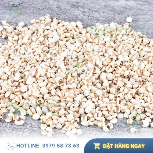 Khách hàng tin tưởng lựa chọn ý dĩ tại Noni Tấn Phát