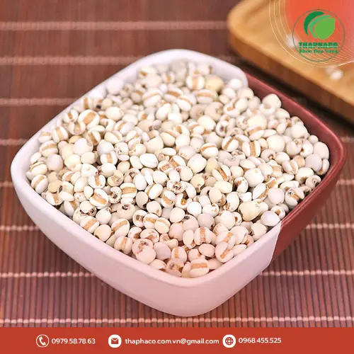 Sản phẩm ý dĩ đóng gói cẩn thận, đảm bảo chất lượng từ Noni Tấn Phát