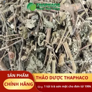 Địa chỉ bán Cây Cối Xay sấy khô tại TP.HCM - Noni Tấn Phát