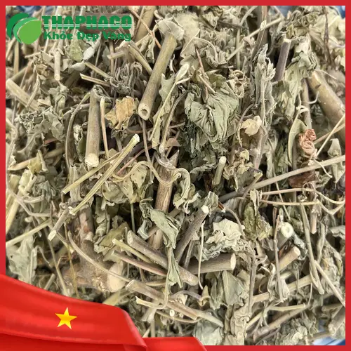 Cây cối xay - dược liệu quý từ thiên nhiên