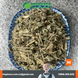 Địa chỉ bán cây cối xay sấy khô tại TP.HCM chất lượng