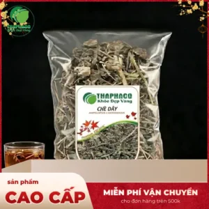 Mua Chè Dây Khô Ở Đâu Đảm Bảo Chất Lượng THAPHACO?