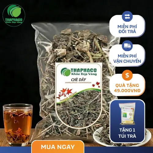 Hình ảnh chè dây khô nguyên chất tại THAPHACO