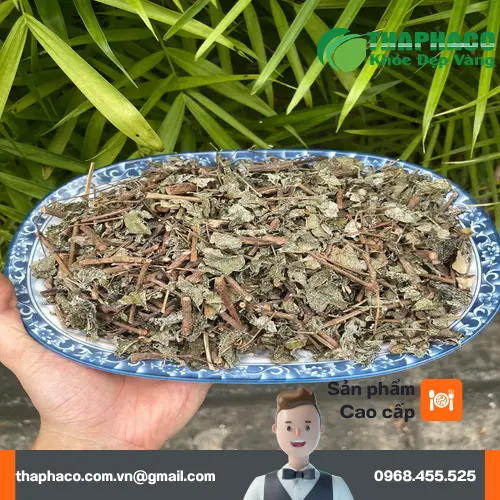 Chè dây khô bị ẩm mốc, có màu sắc và hình dạng bất thường