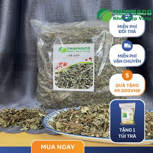Chè dây khô chất lượng cao