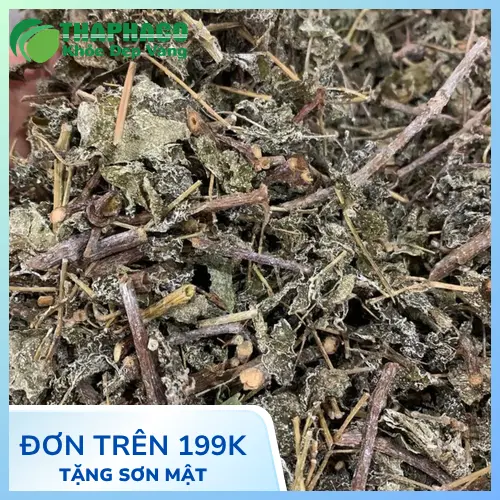 Đặc điểm của chè dây sấy khô chất lượng cao