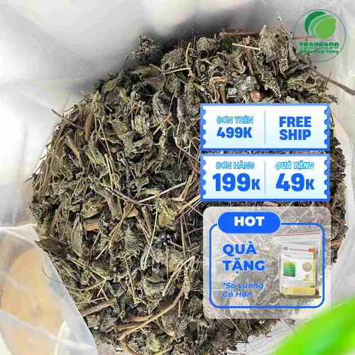 Công dụng của chè dây khô hỗ trợ viêm loét dạ dày