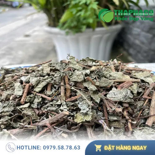 Hướng dẫn sử dụng chè dây khô THAPHACO an toàn