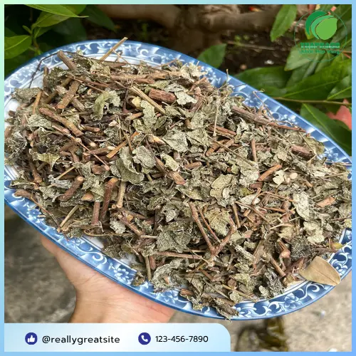 Quy trình sản xuất chè dây sấy khô tại THAPHACO