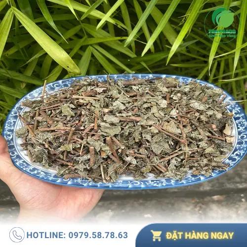 Nước pha chè dây có màu vàng nhạt trong veo