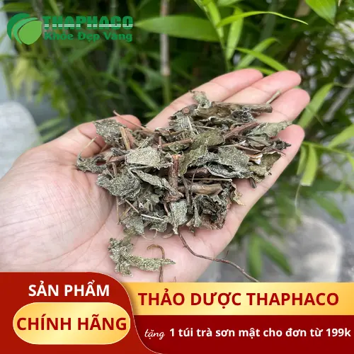 Những câu hỏi thường gặp về chè dây