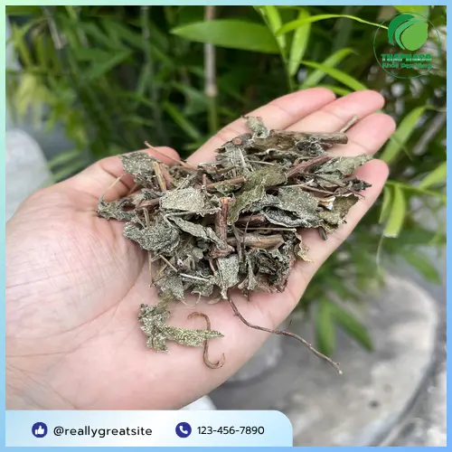 Cách nhận biết chè dây khô loại 1 và địa chỉ mua uy tín