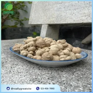 Củ Tam Thất Nam TP.HCM Giá Bao Nhiêu? Cập Nhật Từ Noni Tấn Phát