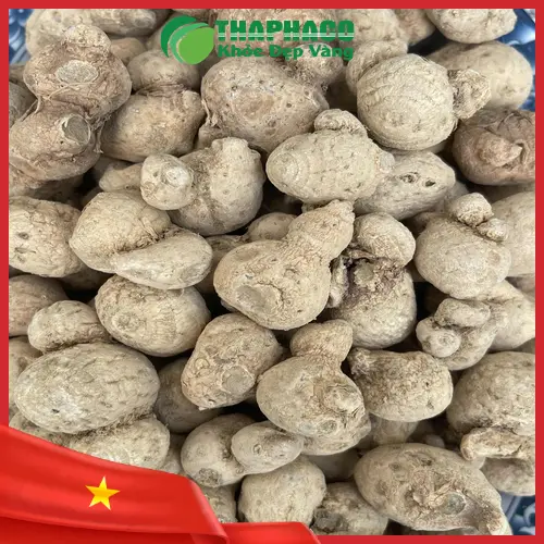 Đóng gói củ tam thất nam sỉ chuyên nghiệp tại Noni Tấn Phát