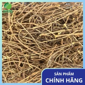 Chỗ Bán Sỉ Dây Tơ Hồng Tại TP.HCM - Noni Tấn Phát Uy Tín