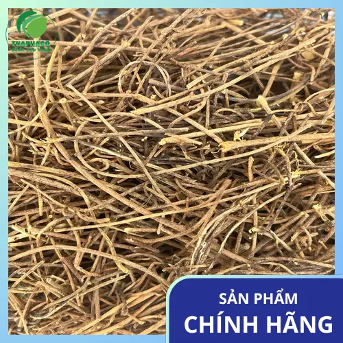 Dây tơ hồng chất lượng cao tại Noni Tấn Phát